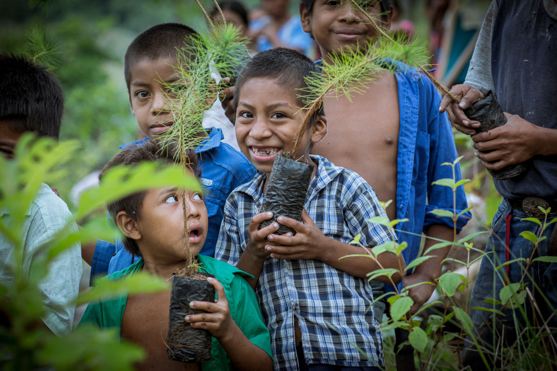 Crianças plantando mudas em ação de reflorestamento na Guatemala — segurança ambiental